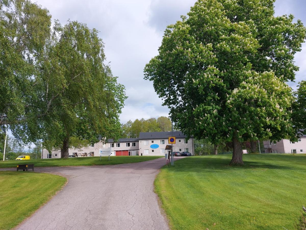 Hammaroe Vandrarhem Eksteriør bilde
